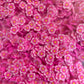 Bright Pink Daisies - 50g Clay Slices